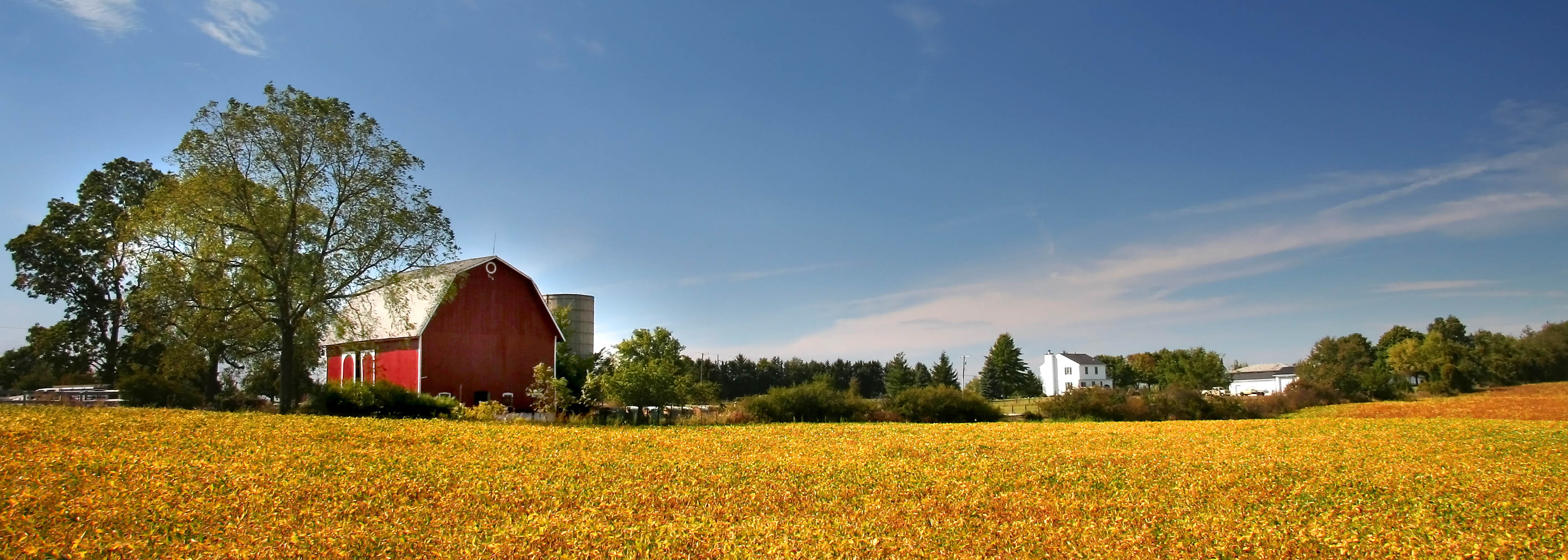 Central michigan farm and garden